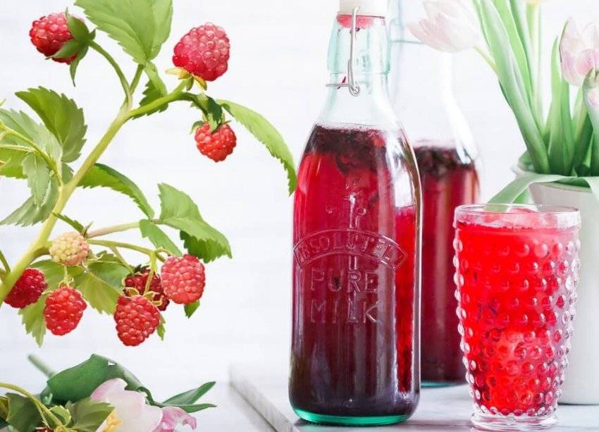 Домашние ликёры из малины. держи всё под контролем!