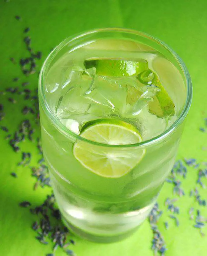 10 лучших коктейлей с джином