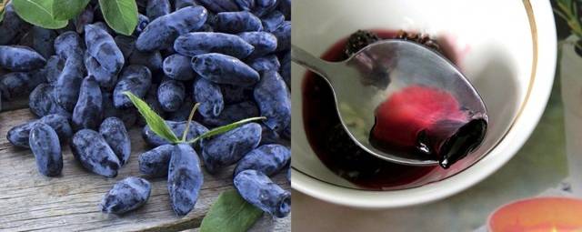 Настойка из черники: 4 рецепта в домашних условиях