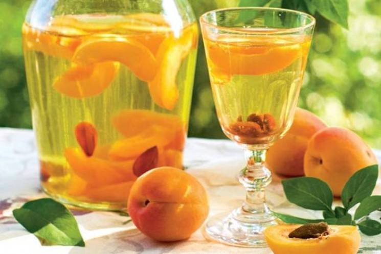 Настойка из абрикосов - простые рецепты абрикосовой настойки в домашних условиях