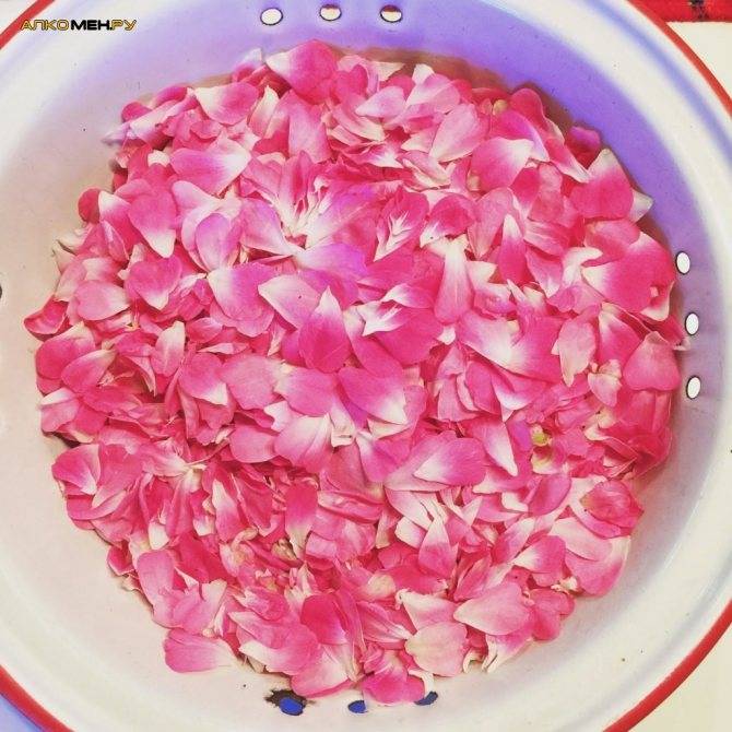 Вино из лепестков роз в домашних условиях