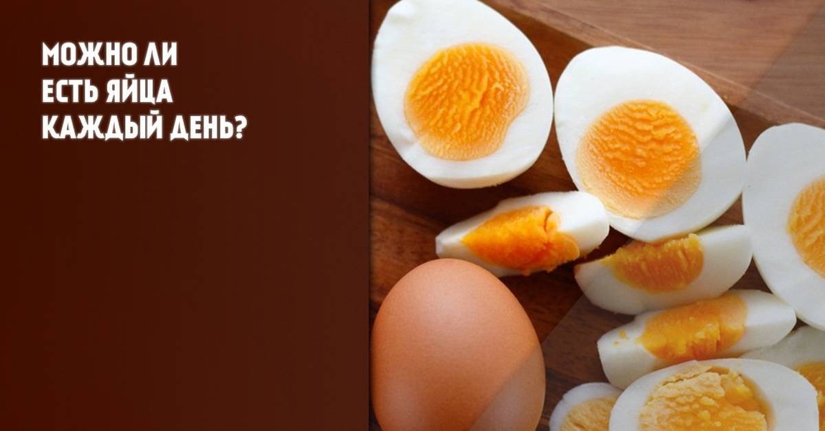Полезно ли пить сырые куриные яйца мужчинам, женщинам и детям: свойства от употребления в пищу, возможный вред
