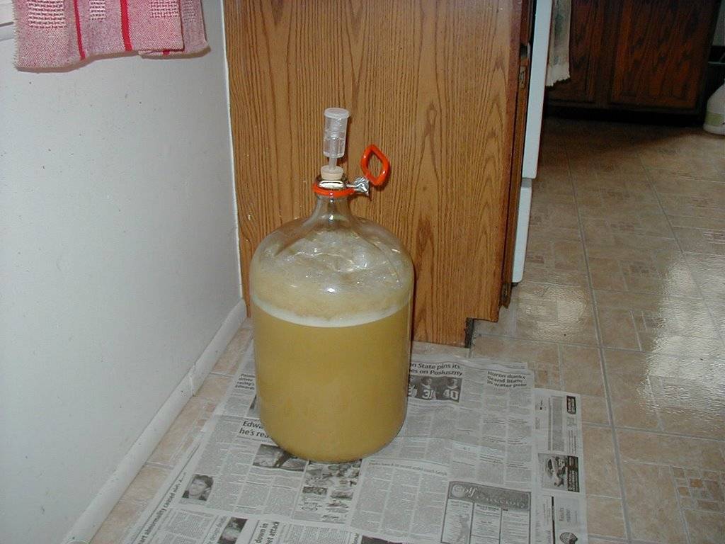 Сколько дрожжей нужно класть в брагу сухих и прессованных?