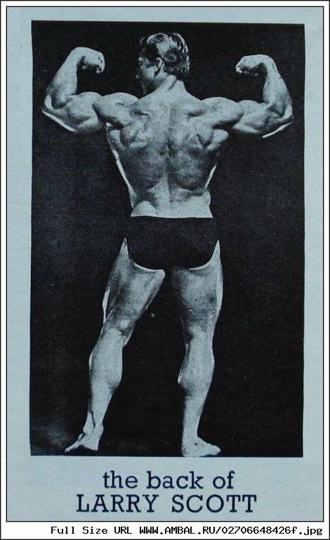 Накачка рук - larry scott