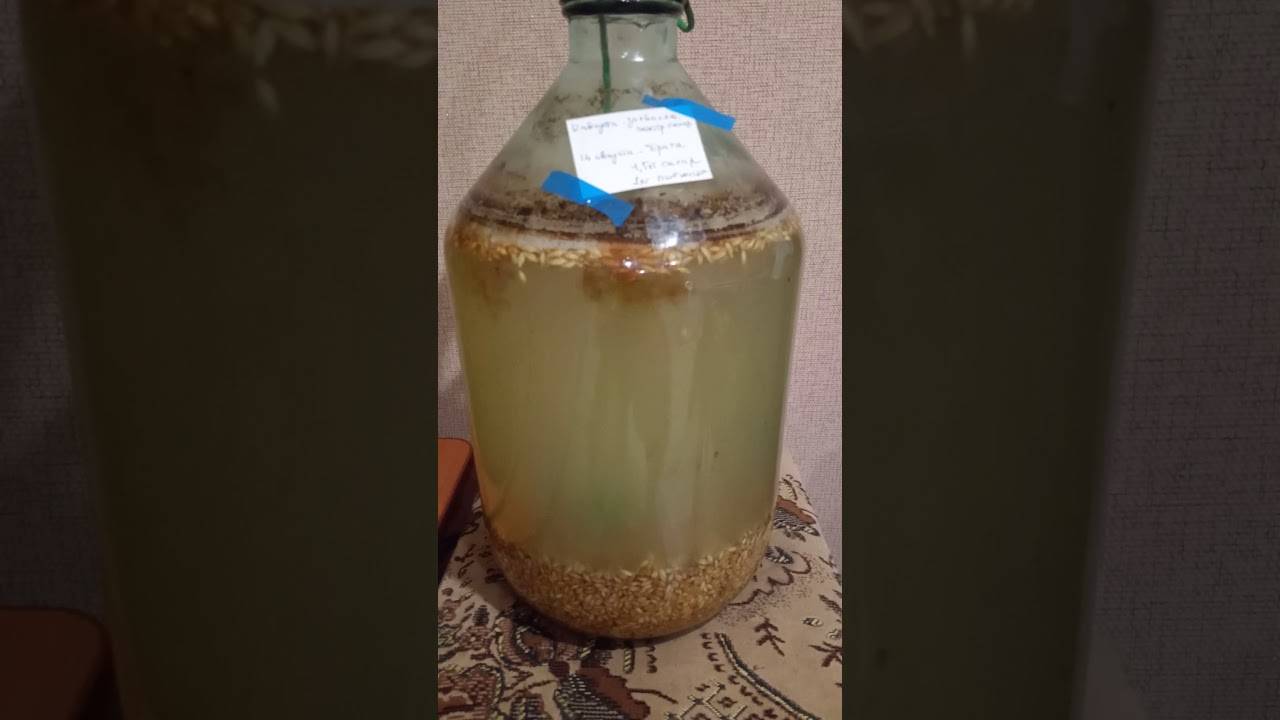 Самогон из пшеницы без дрожжей: рецепт изготовления, пропорции