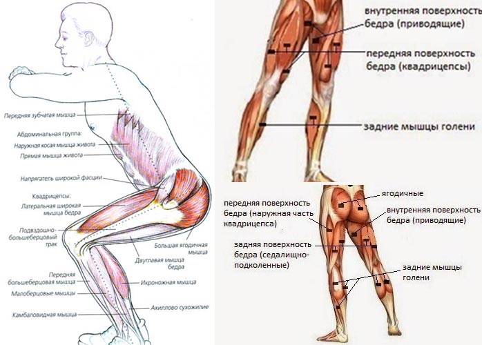 Фронтальный присед или приседания со штангой на груди: правильная техника и вариации выполнения