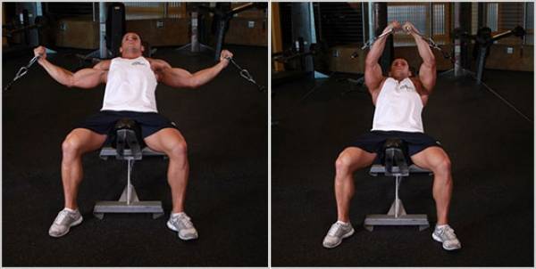 Сведение рук в тренажере, особенности, повышение эффективности