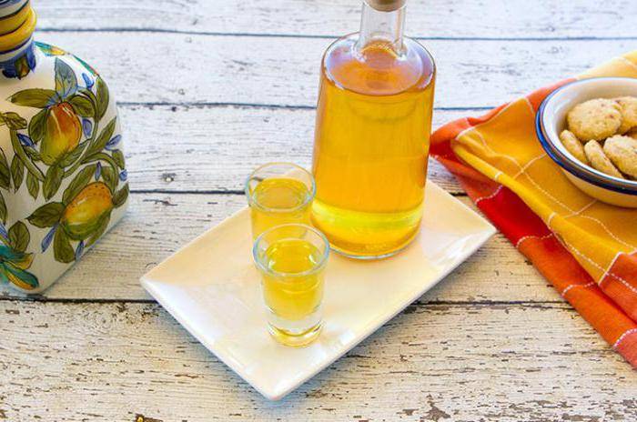 Наливка из абрикосов в домашних условиях - рецепты на водке, на спирту, из абрикосовых косточек и с клубникой