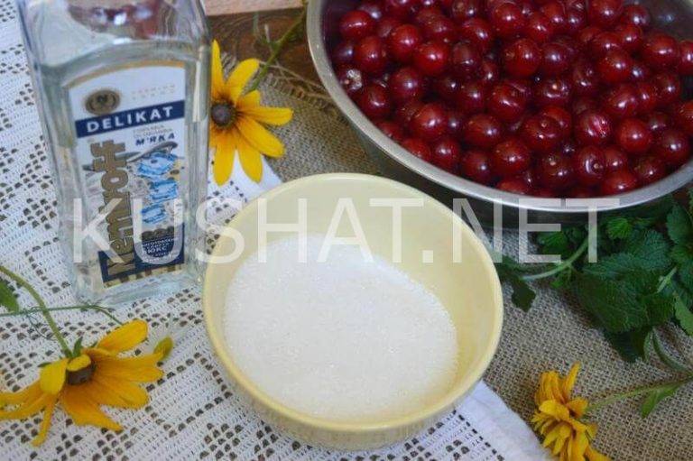 Наливка и ликер из дыни: 7 рецептов в домашних условиях