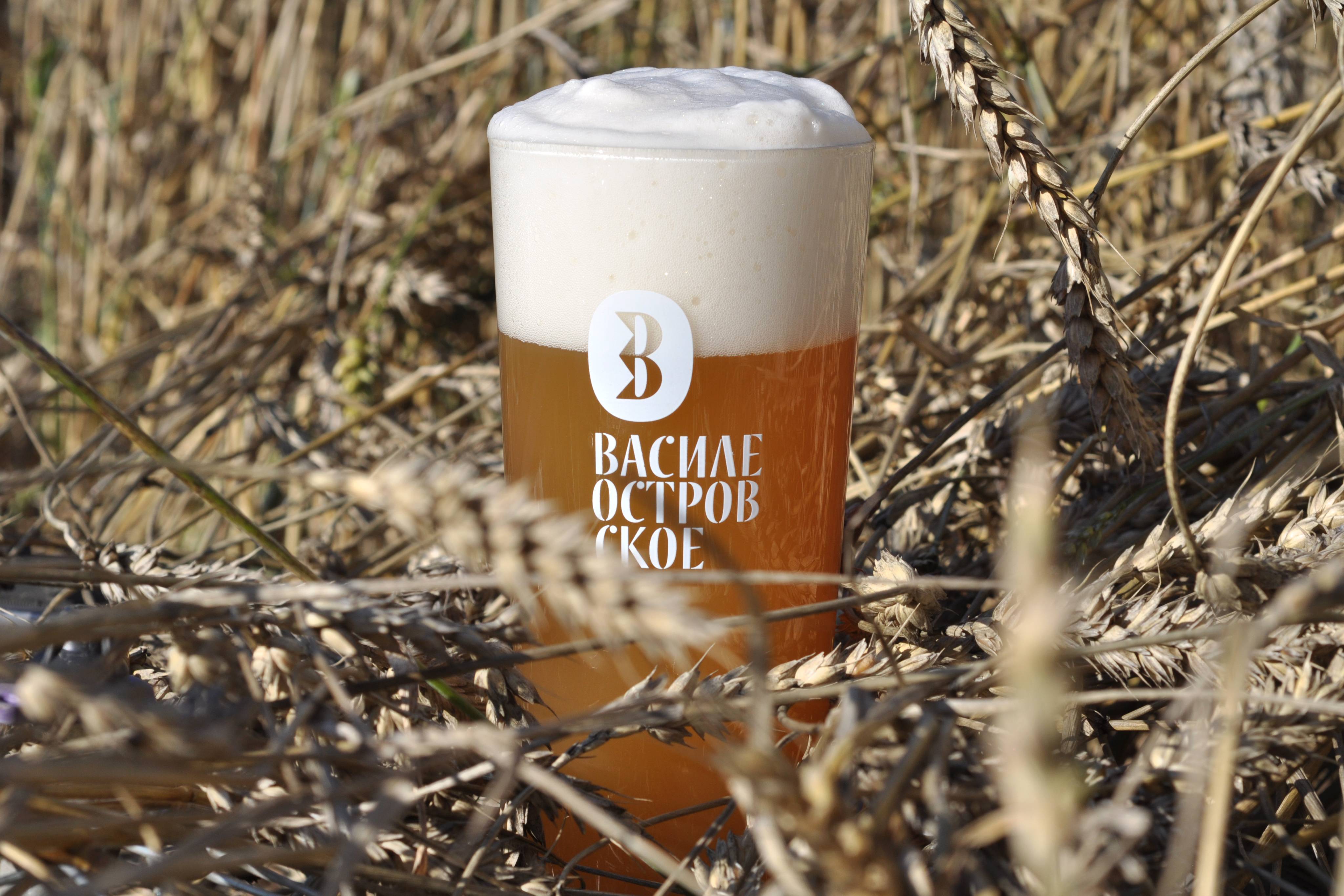 Пиво францисканер: обзор вкуса и видов