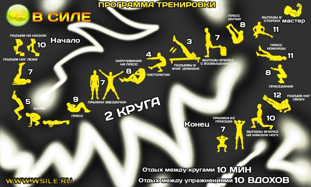 Программа тренировок для девушек в тренажерном зале, 3 варианта