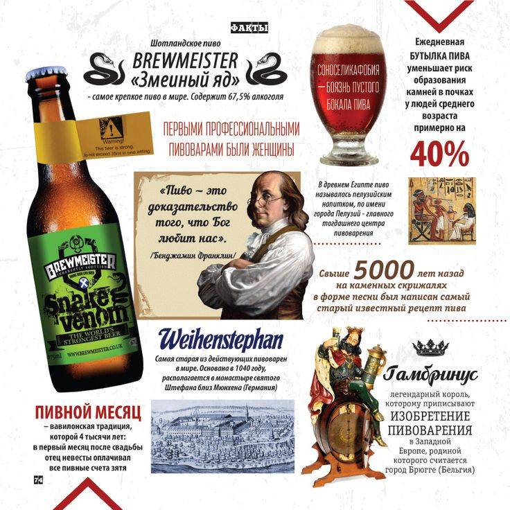 Ром закапа: история, обзор, виды, как и с чем пить, интересные факты