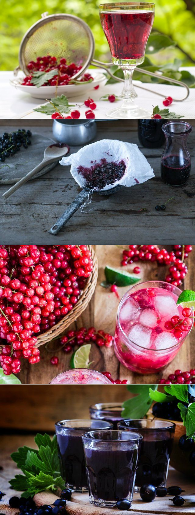 Ликер из жимолости: 3 рецепта в домашних условиях + нюансы приготовления