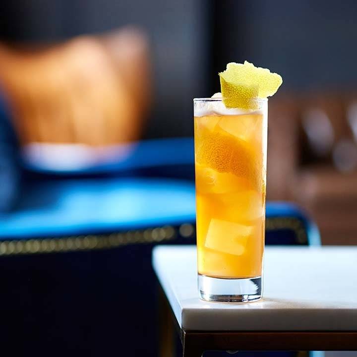 Коктейль лошадиная шея - рецепт приготовления