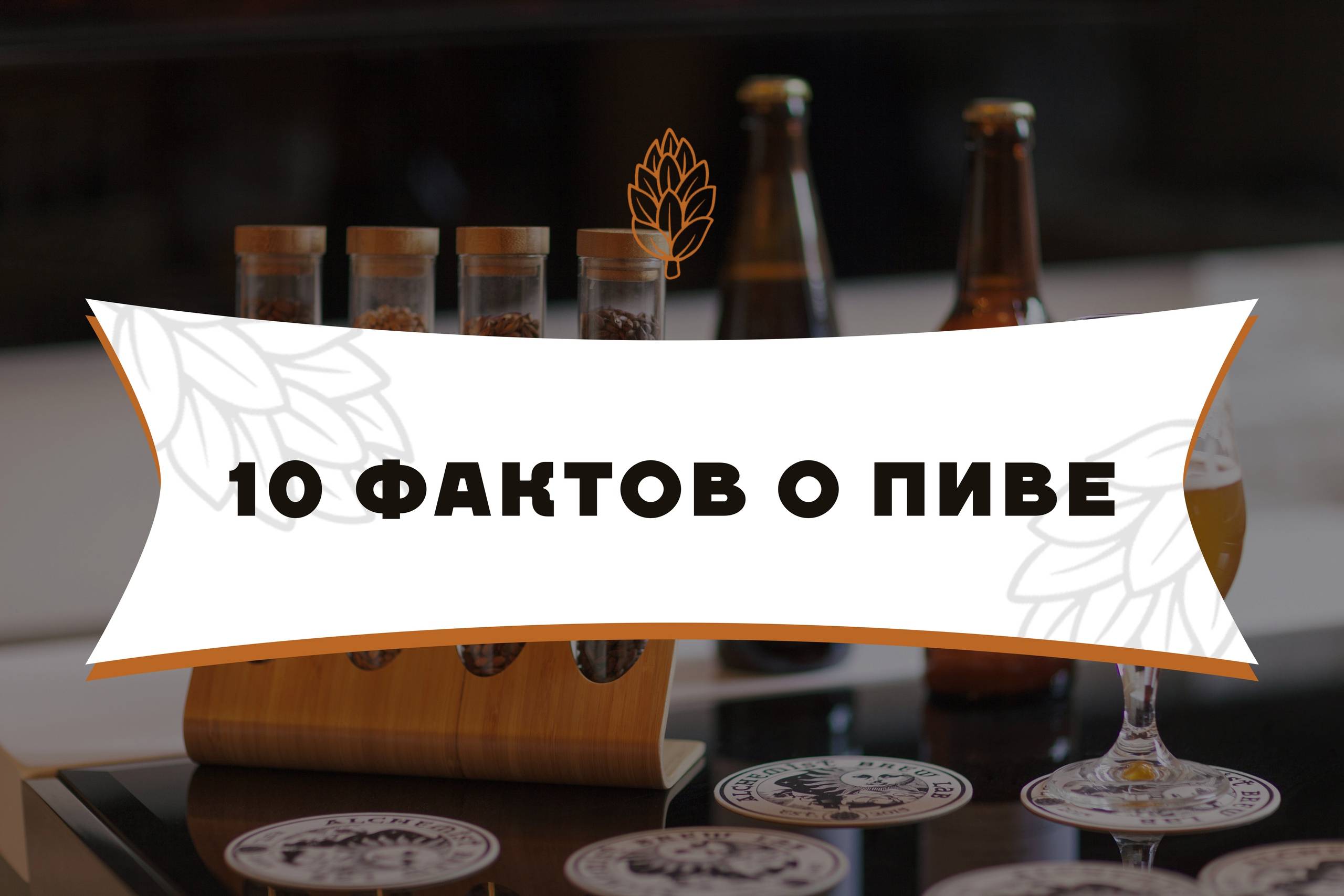 Водка немиров: история, обзор видов + интересные факты