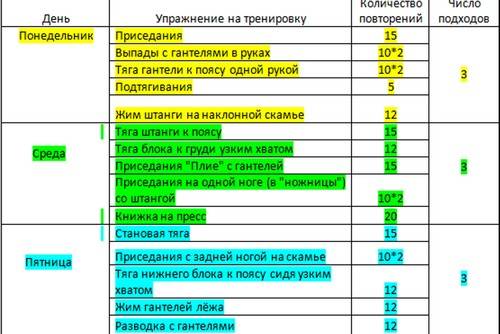 Программа занятий в тренажерном зале для начинающих девушек и мужчин