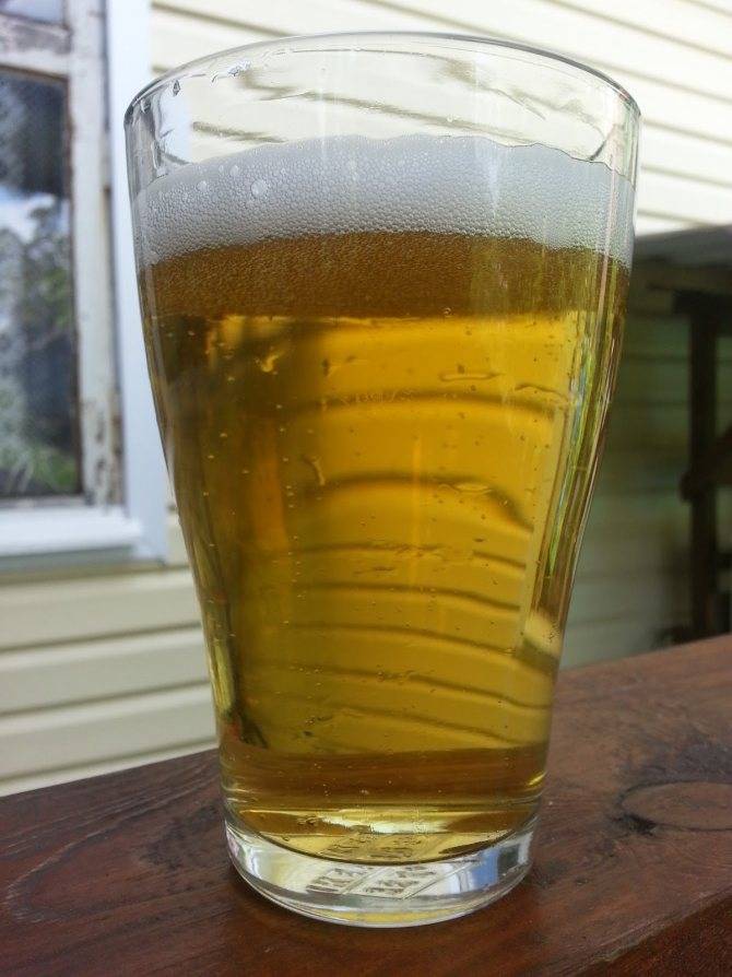 Faxe пиво: история, обзор видов + интересные факты