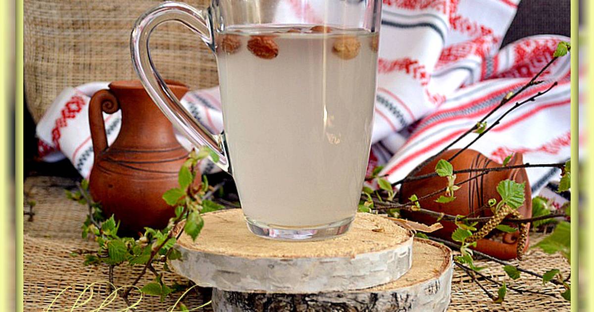 Березовые почки: лечебные свойства и противопоказания для женщин, отзывы