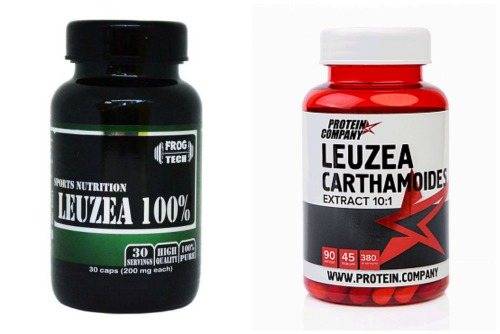 Природный стероид, натуральный адаптоген и средство для повышения потенции. эти и другие сильные свойства настойки левзеи с инструкцией по применению