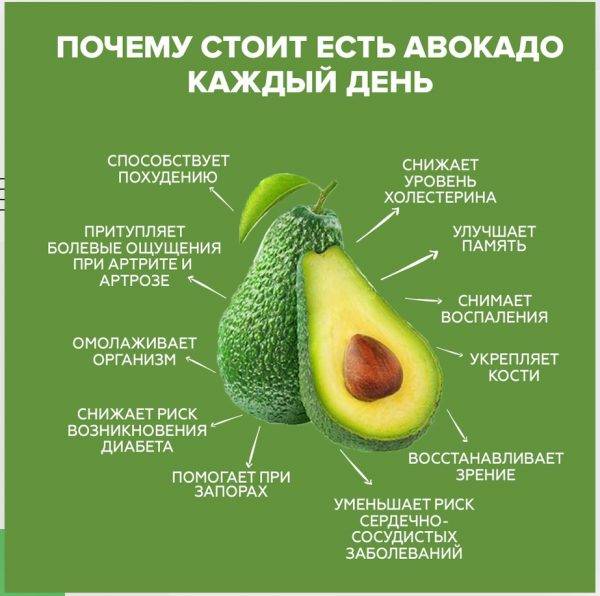 Авокадо Для Снижения Веса