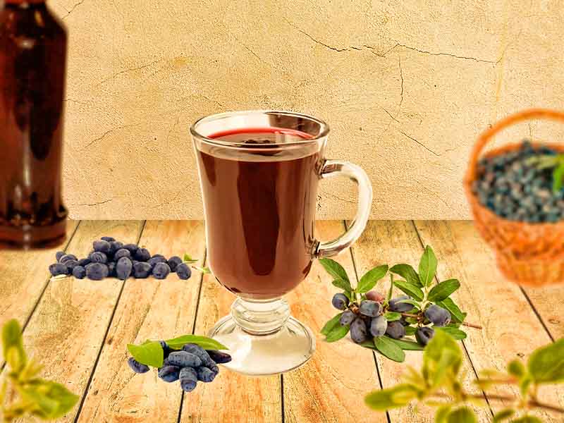 Настойка из жимолости на водке в домашних условиях