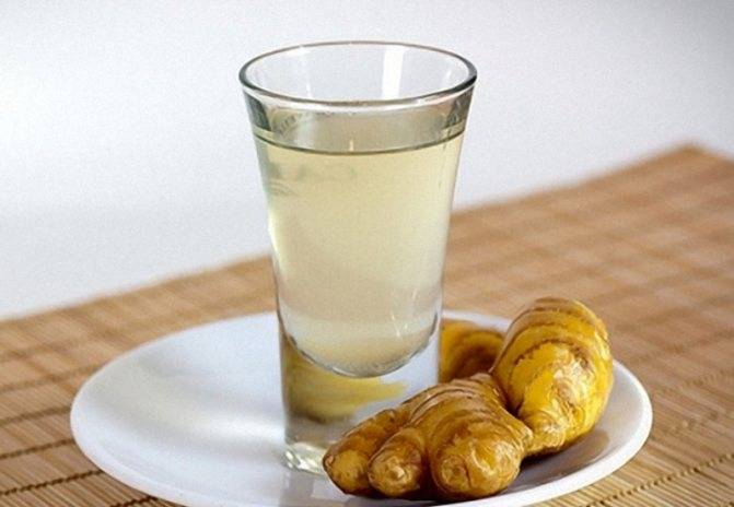 Наливка из дыни: рецепты на водке, на спирту, на самогоне