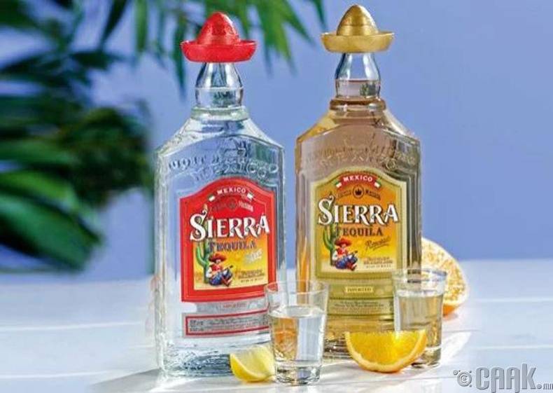 Текила sierra (сиерра): описание, отзывы, стоимость