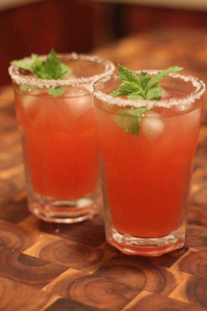 Коктейль собака - 95 фото состава, секреты рецепта, описание как готовится современный и традиционный напиток