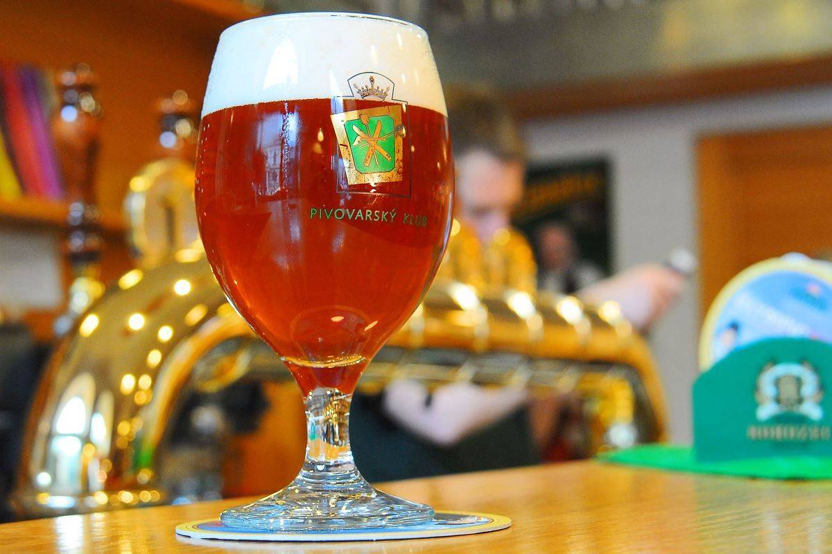 Наливка и настойка из ежевики: 7 рецептов в домашних условиях