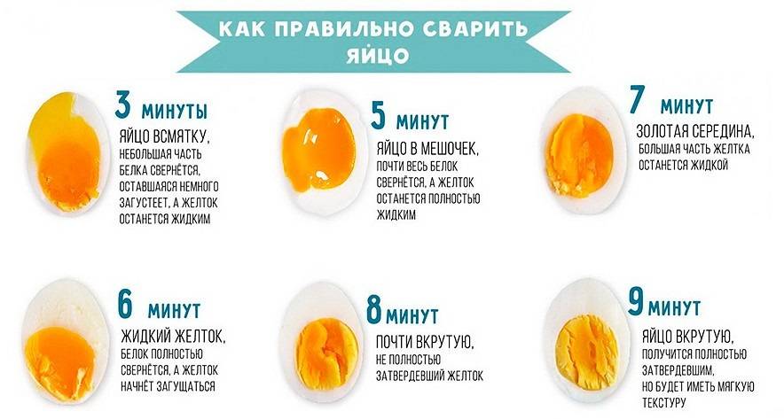 Куриные Яйца Калорийность При Диете