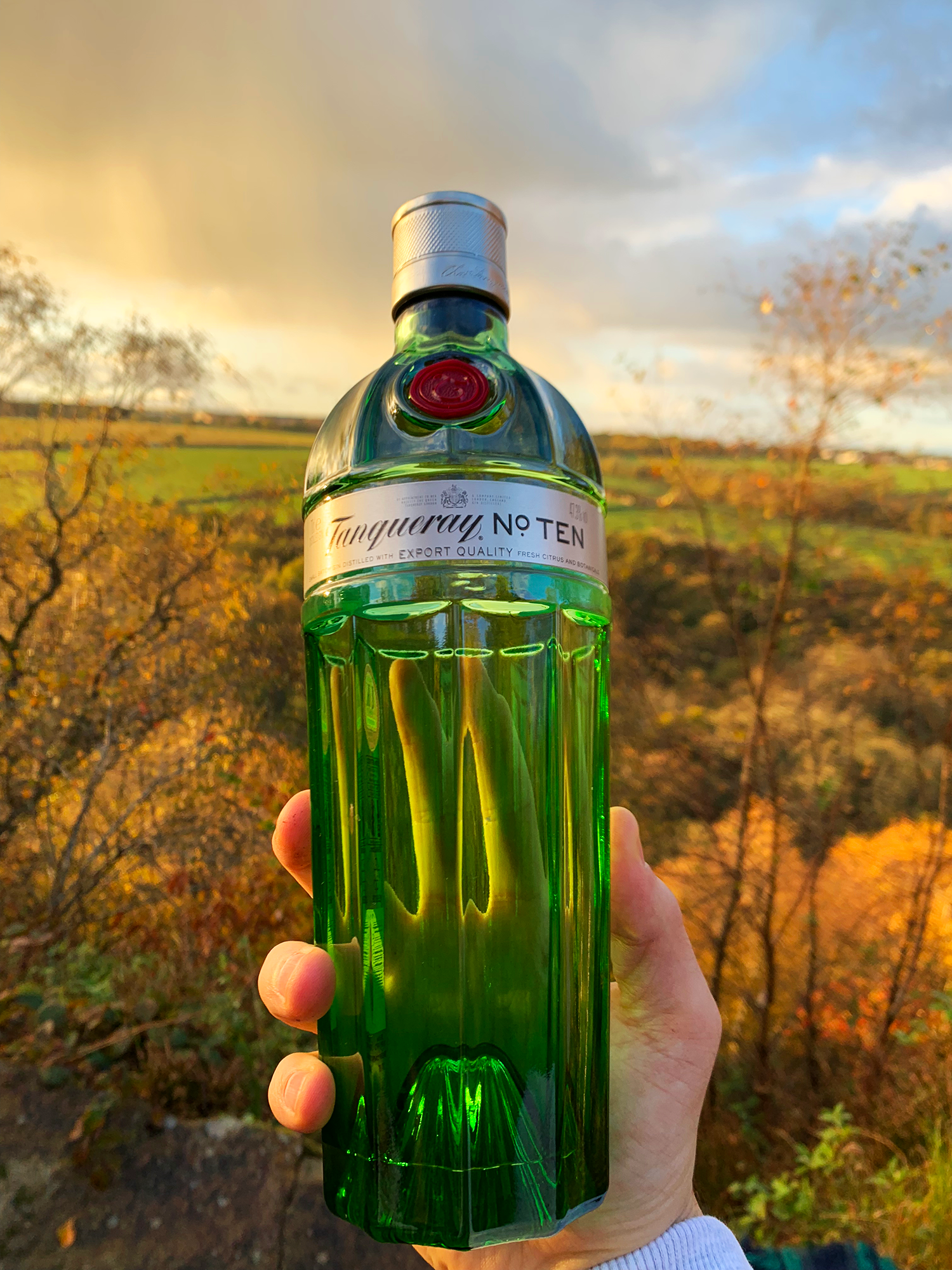 Джин: как правильно и с чем пить алкогольный напиток