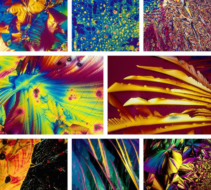 Алкогольные напитки под микроскопом | fresher - лучшее из рунета за день