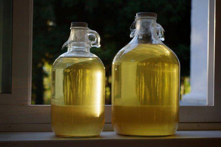 Рецепт приготовления самогона из хурмы