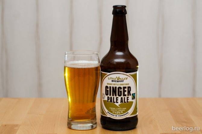 Имбирное пиво в домашних условиях – 3 простых рецепта