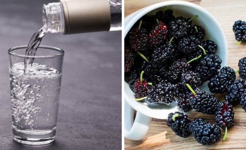 Вино и наливка из шелковицы в домашних условиях