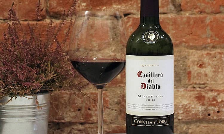 Особенности производства вина в чили. чилийские вина в россии.