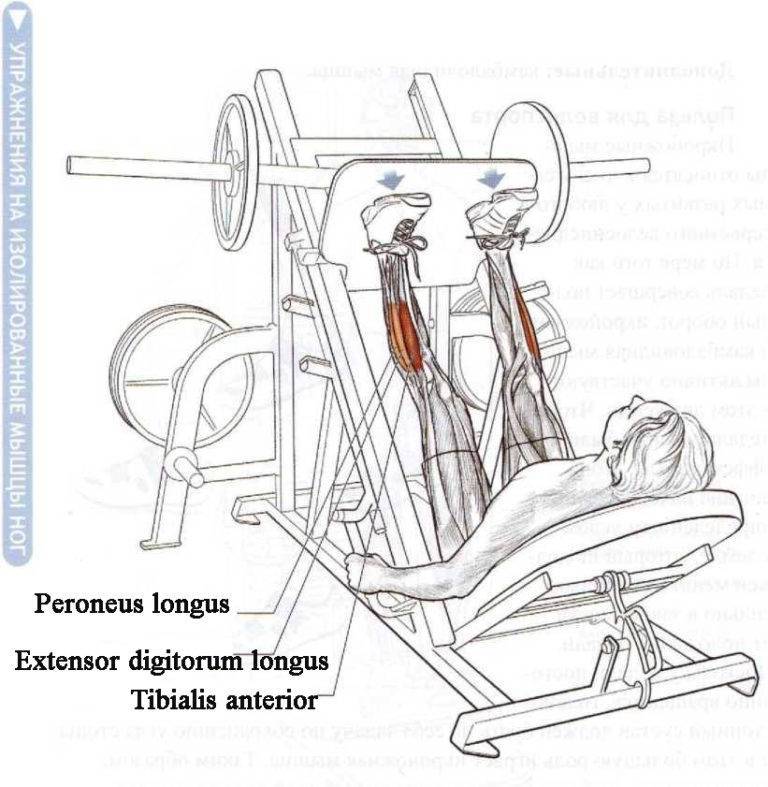 Рычажная тяга – эффективное упражнение в тренажере хаммер для мышц спины