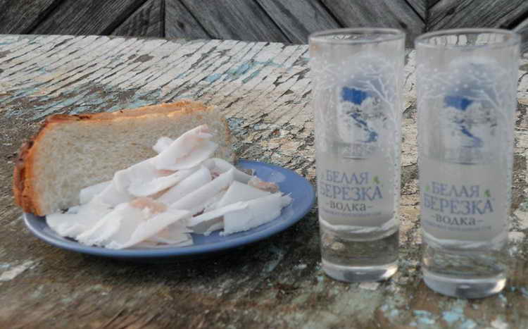 Рябиновая настойка: 6 рецептов в домашних условиях