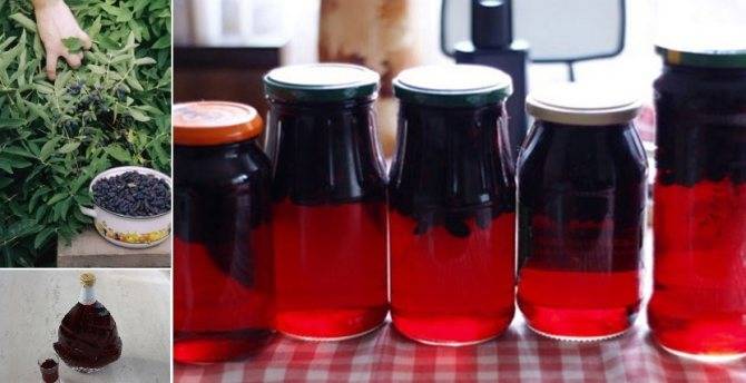 Настойка на жимолости водки, спирта или самогона