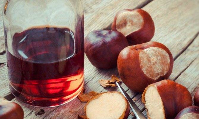 Конский каштан (настойка). рецепт настойки на водке