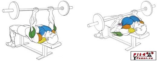 Жим штанги лежа: техника выполнения упражнения и нормативы