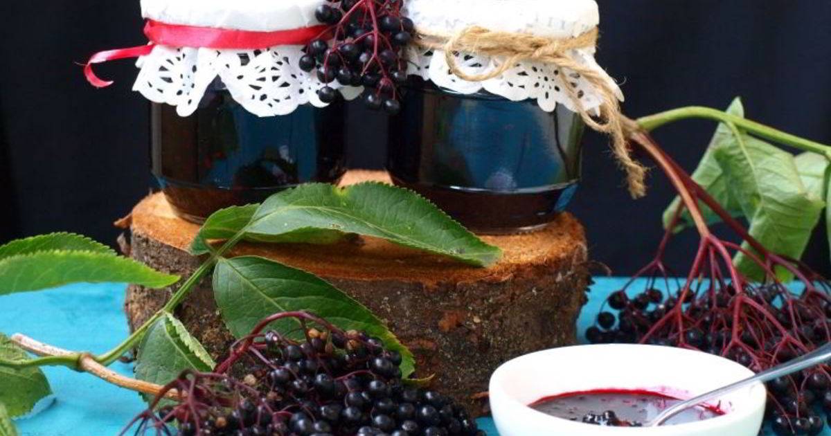 Бузина — полезные лечебные свойства и противопоказания