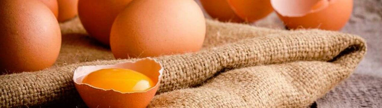 Сырые яйца — польза и вред употребления продукта