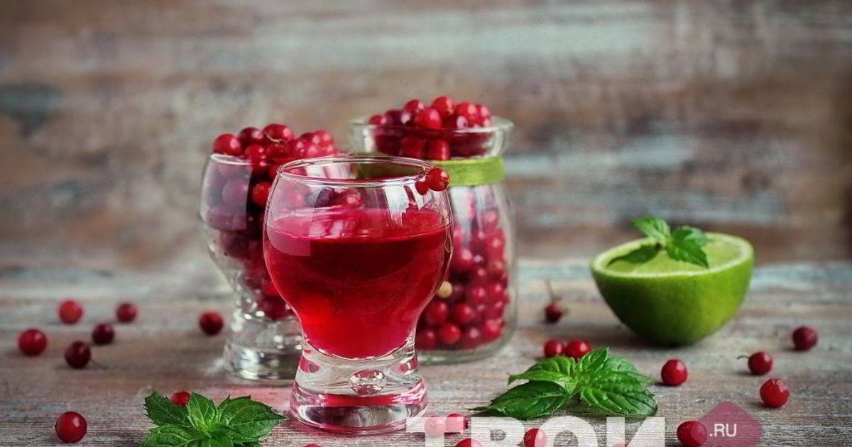 Вино из брусники – 10 замечательных рецептов в домашних условиях