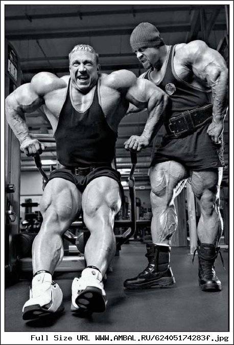 6-кратный участник crossfit games маркус филли рассказывает о тренировках, питании и восстановлении