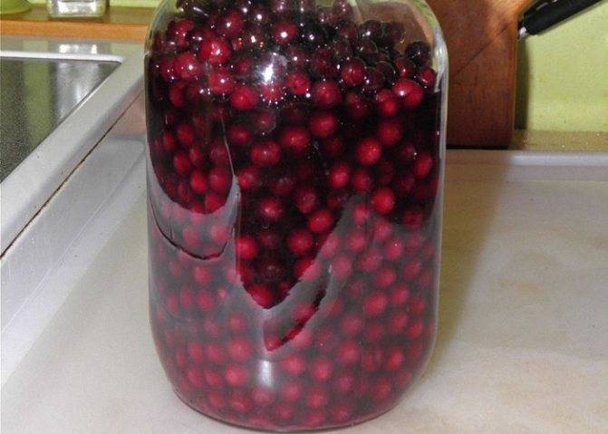 Настойка из черноплодной рябины: 7 рецептов в домашних условиях