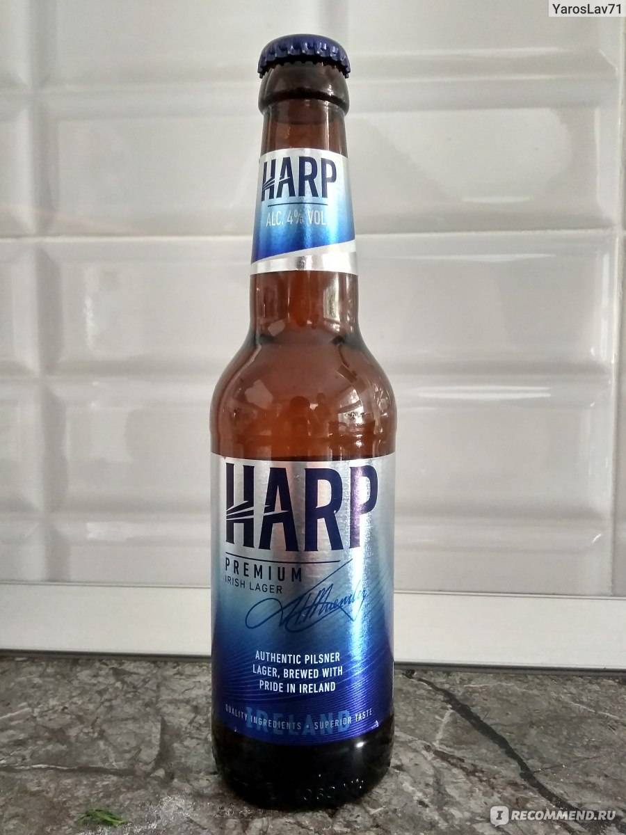 Делаем горячее пиво от кашля и при простуде + польза и вред