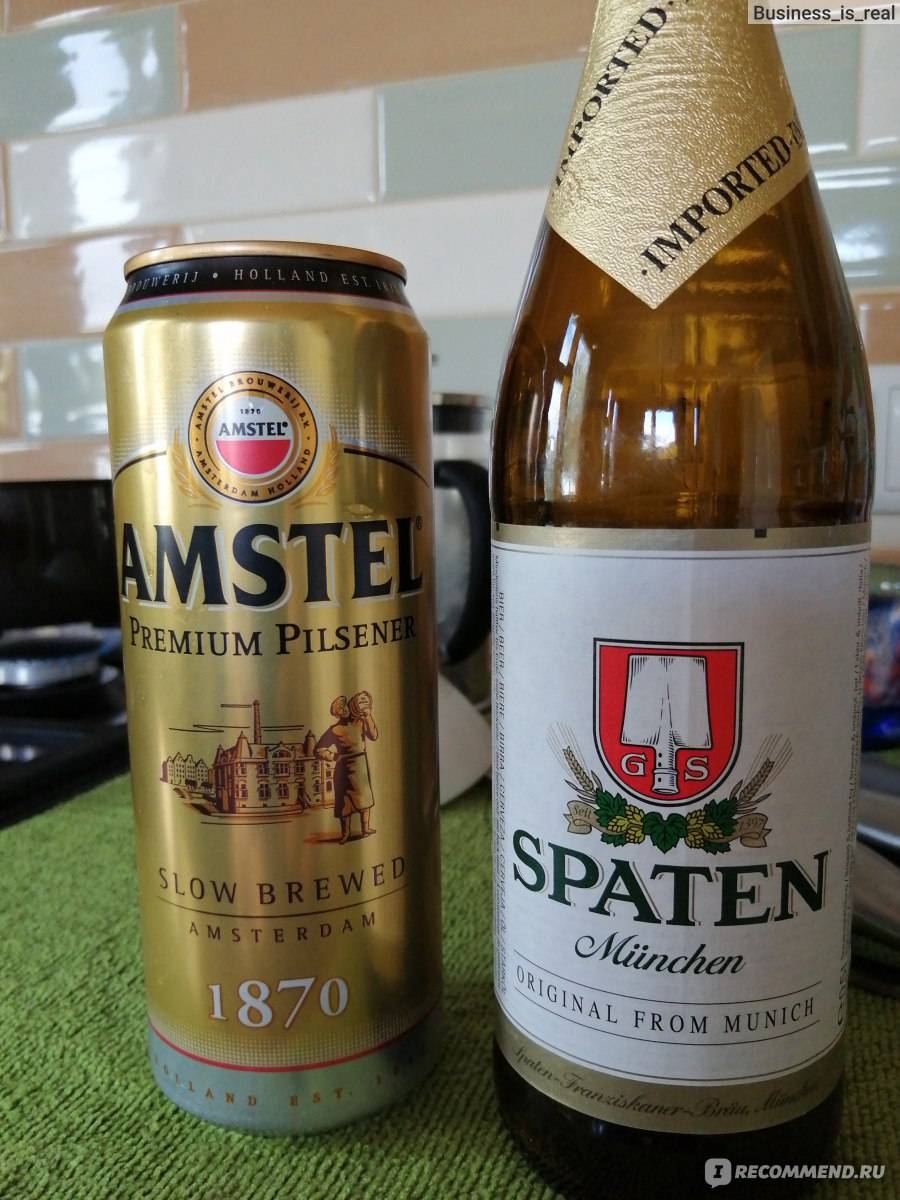 Пиво амстел — история, особенности и виды напитка