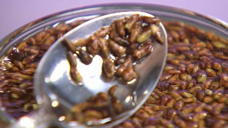 Настойка на березовых почках: применение на водке