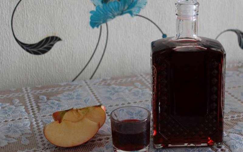 Жимолость лечебные свойства и противопоказания